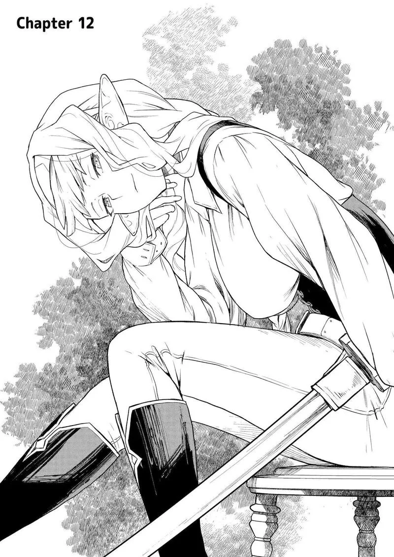 Kishi Danchou no Elf-san Datte Otome ga shitai. Chapter 12 page 1