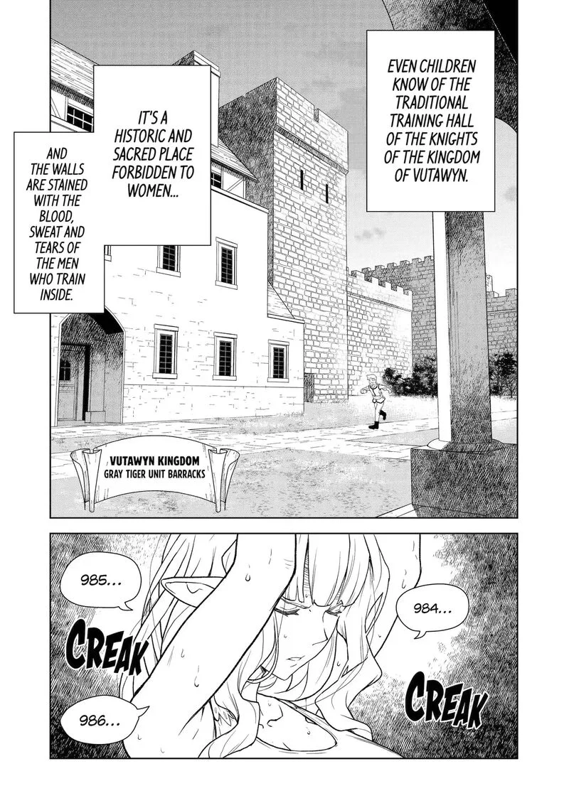 Kishi Danchou no Elf-san Datte Otome ga shitai. Chapter 3 page 1