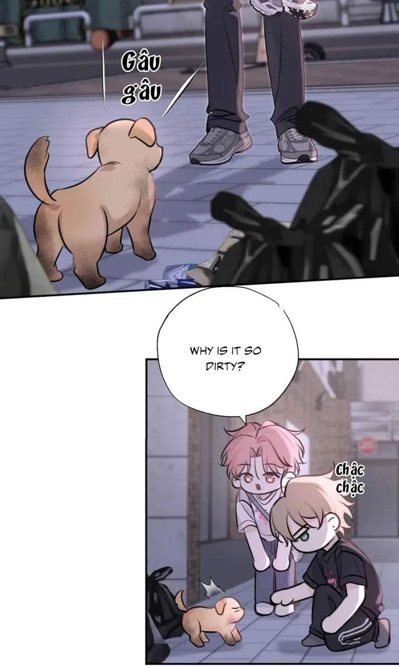 Kiss the Rose Gently Chapter 31 page 31