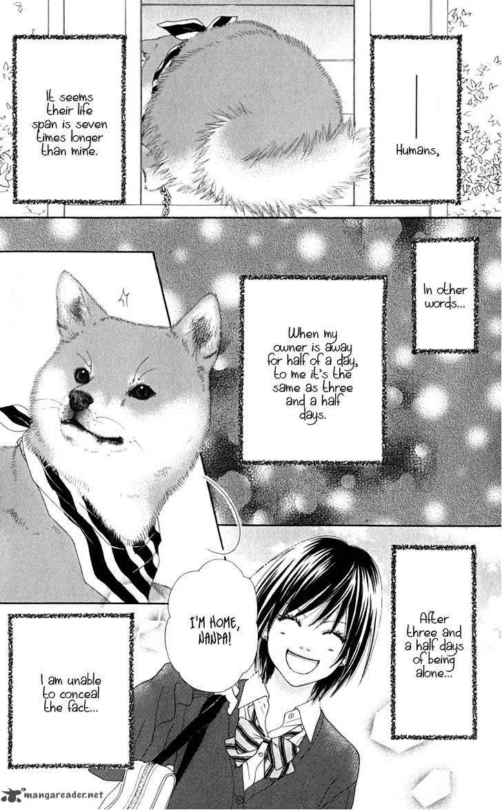 Koibana! Koiseyo Hanabi Chapter 32 page 31