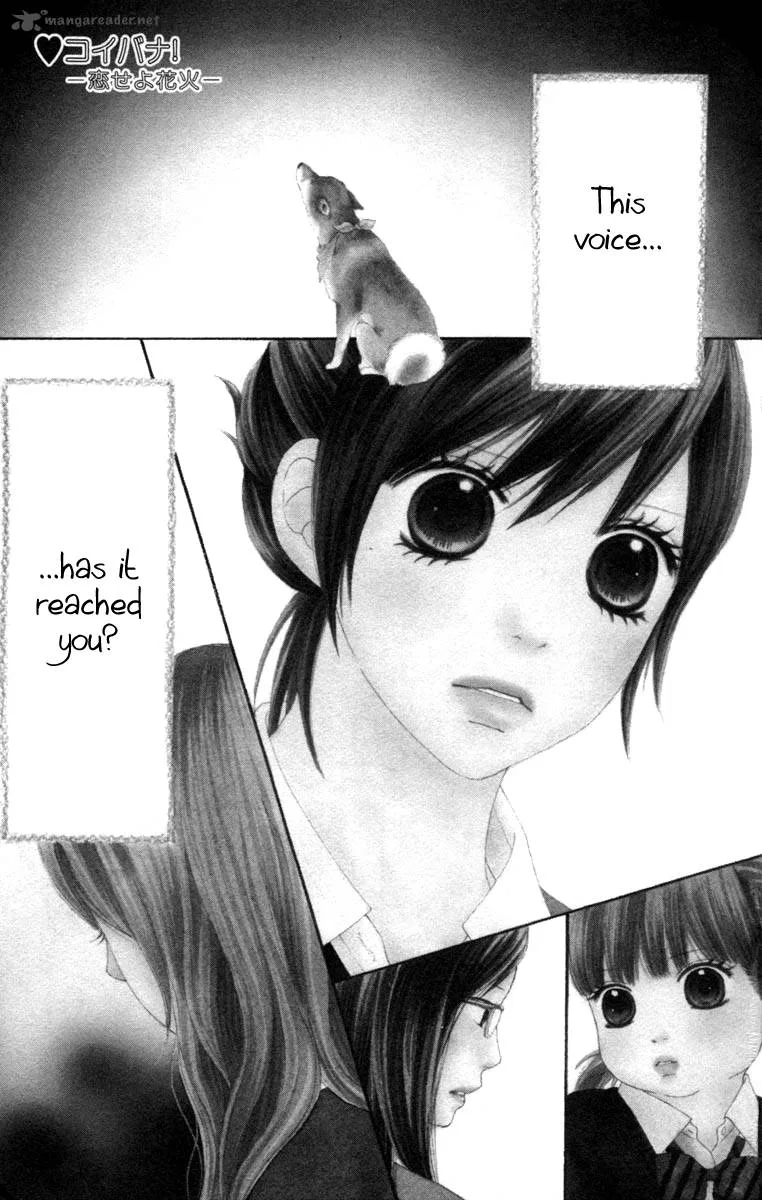 Koibana! Koiseyo Hanabi Chapter 33 page 4