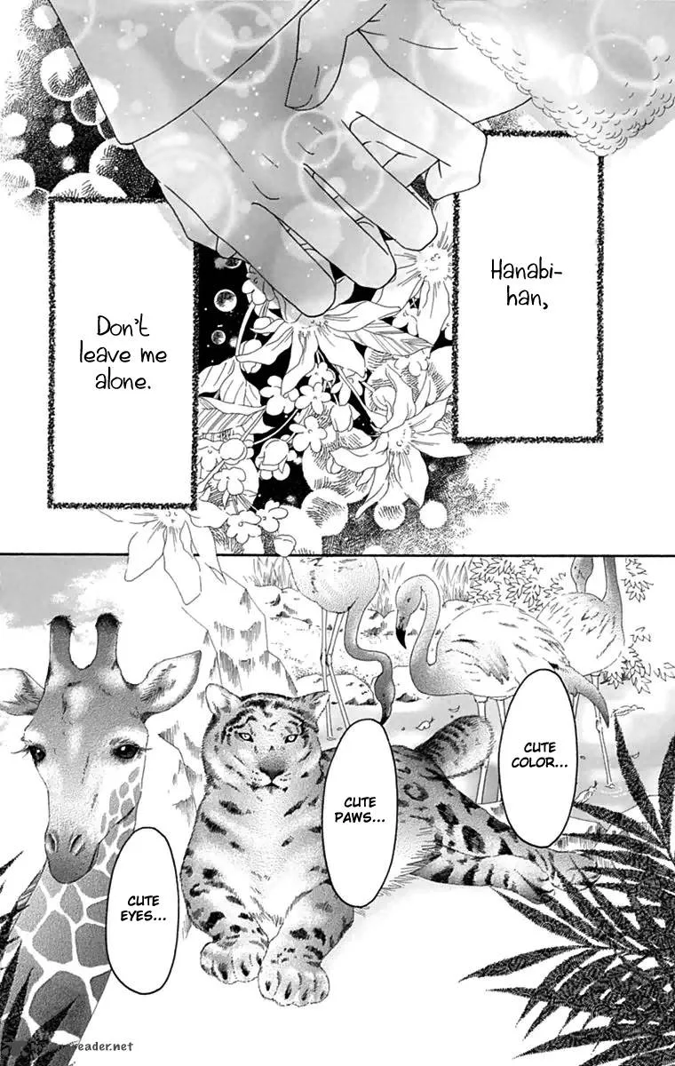 Koibana! Koiseyo Hanabi Chapter 40 page 6