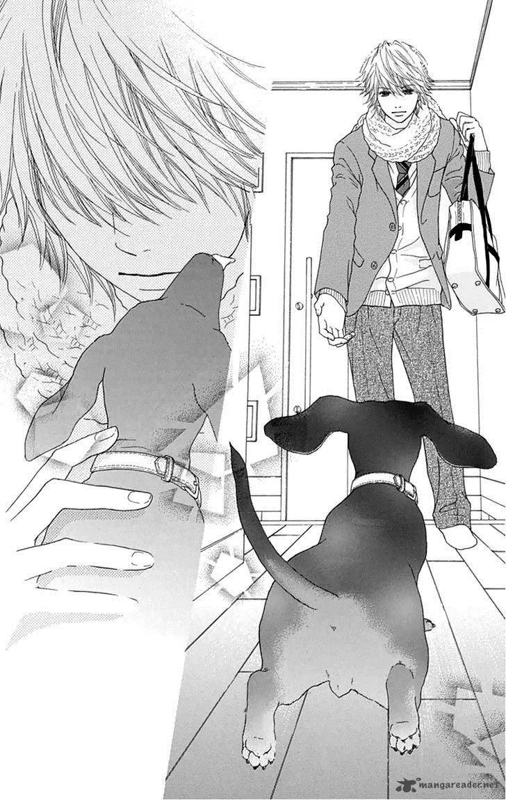 Koibana! Koiseyo Hanabi Chapter 45 page 24
