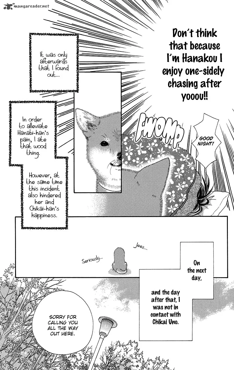 Koibana! Koiseyo Hanabi Chapter 61 page 20