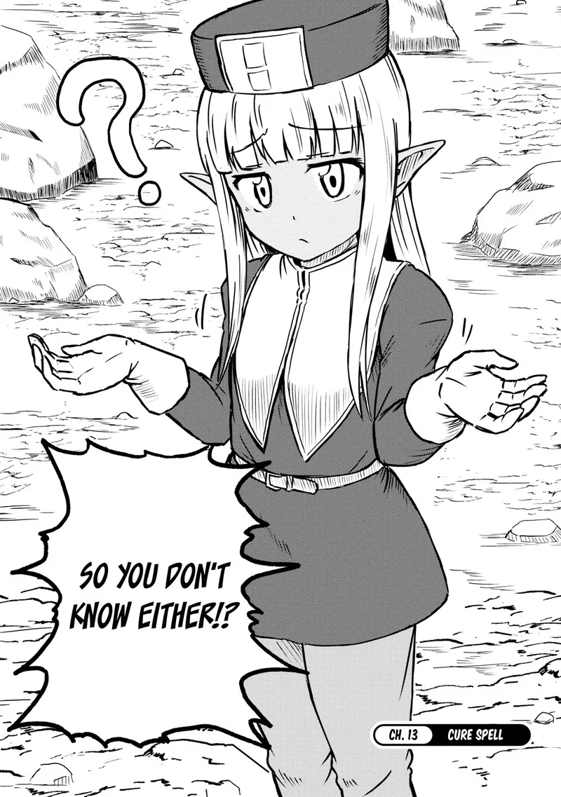 Kono Healer Mendokusai Chapter 13 page 2