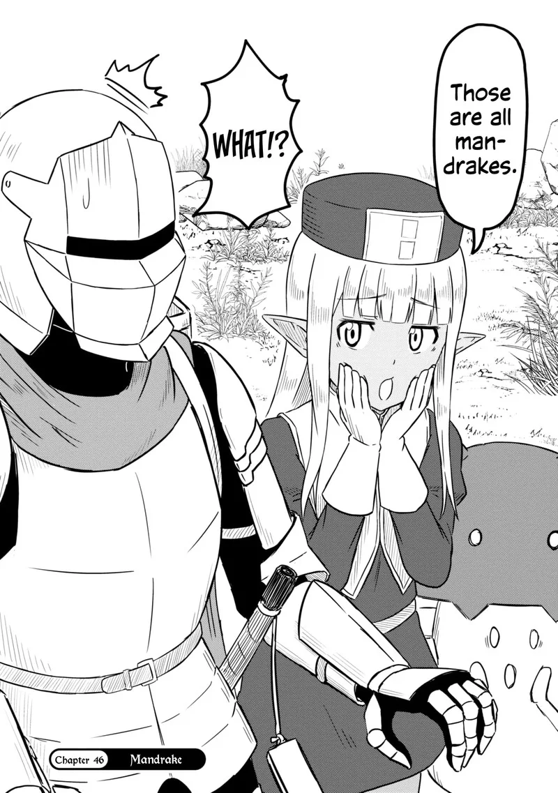 Kono Healer Mendokusai Chapter 46 page 2