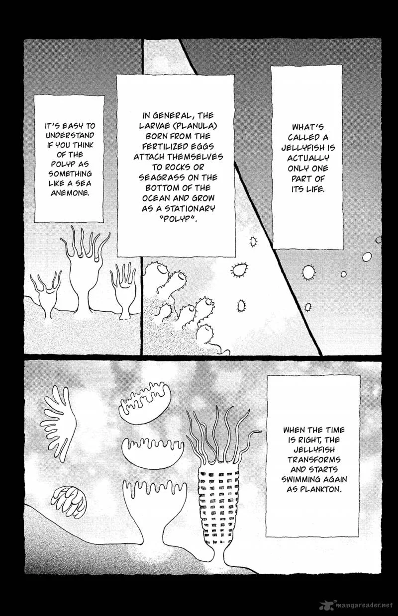 Kuragehime Chapter 81 page 4