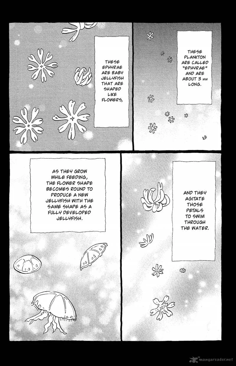 Kuragehime Chapter 81 page 5
