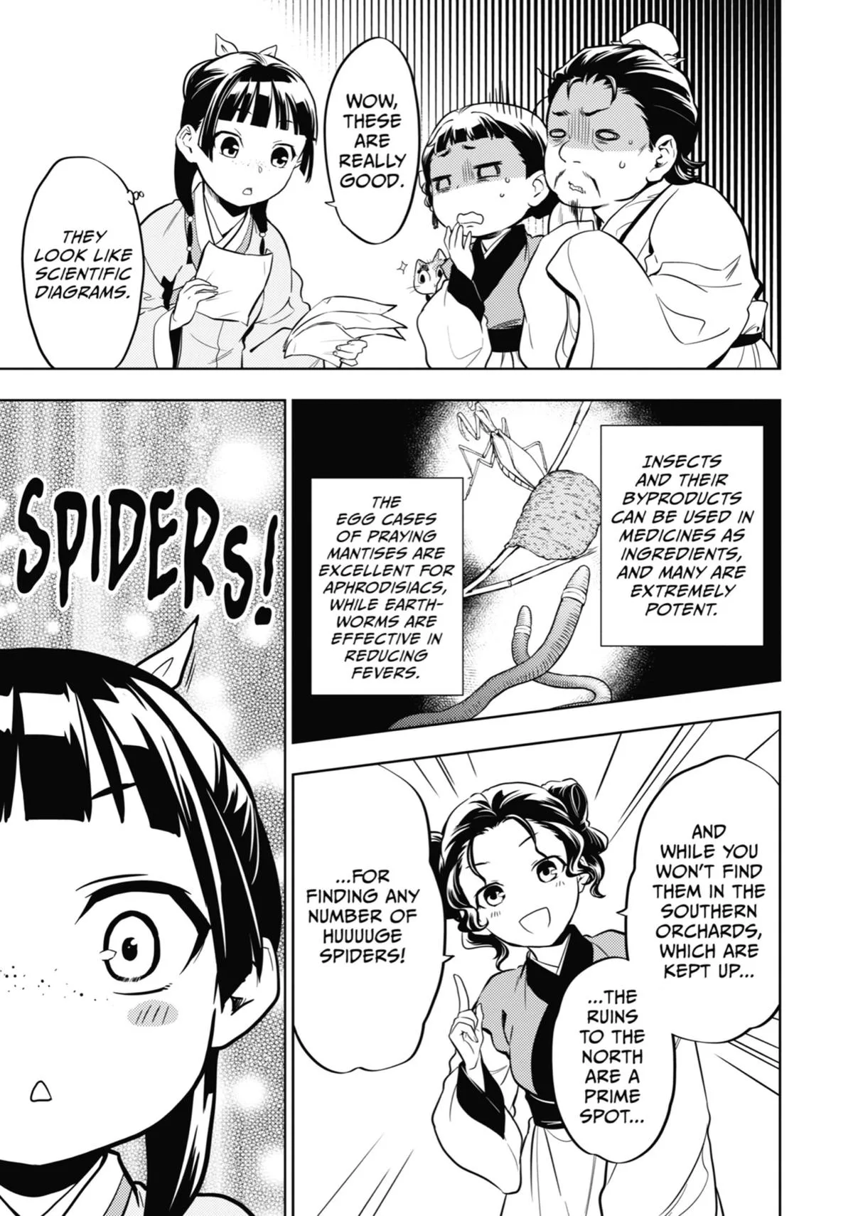 Kusuriya no Hitorigoto Chapter 43 page 25