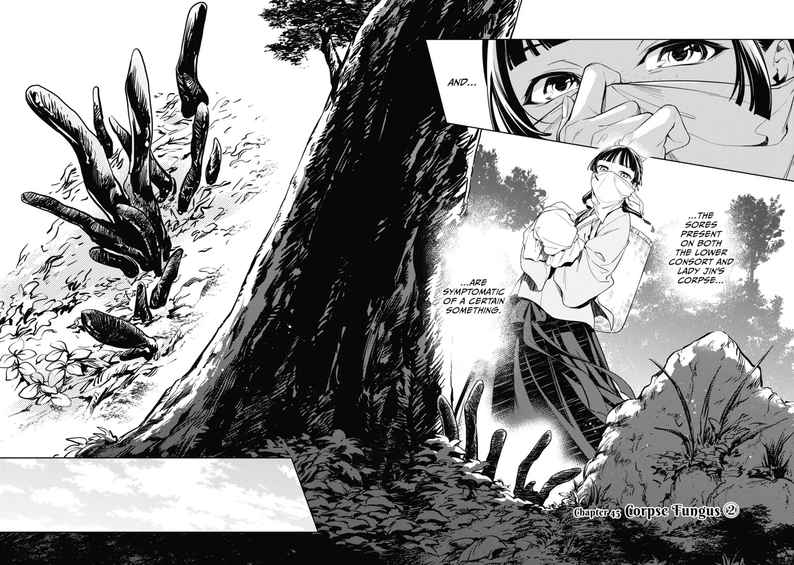 Kusuriya no Hitorigoto Chapter 45 page 2