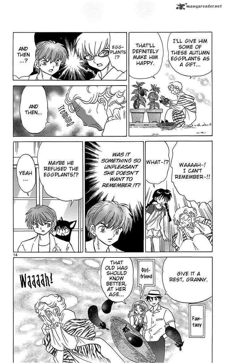 Kyoukai no Rinne Chapter 202 page 14