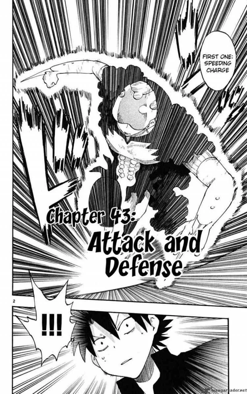 Law of Ueki Plus Chapter 43 page 2