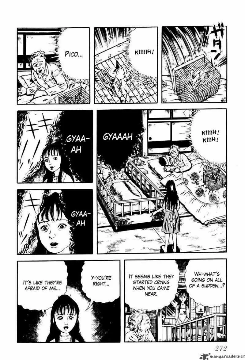 Left Hand of God-Right Hand of the Devil Chapter 55 page 10