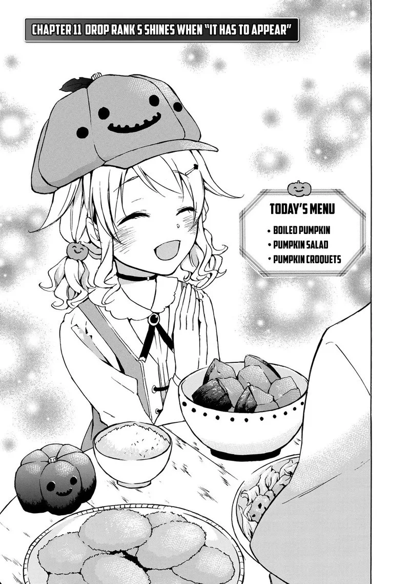 Level 1 with S-rank Drop Rate is the Strongest Chapter 11 page 1