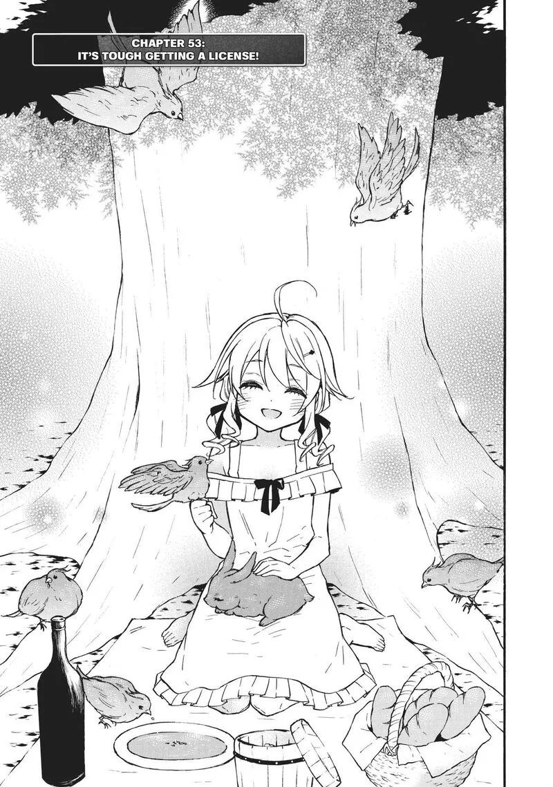 Level 1 with S-rank Drop Rate is the Strongest Chapter 53 page 1
