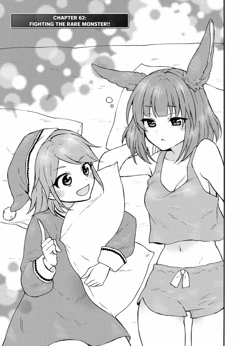 Level 1 with S-rank Drop Rate is the Strongest Chapter 62 page 1