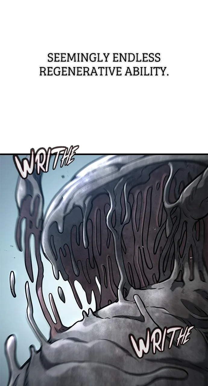 Life of a Demon Hunter Chapter 10 page 43