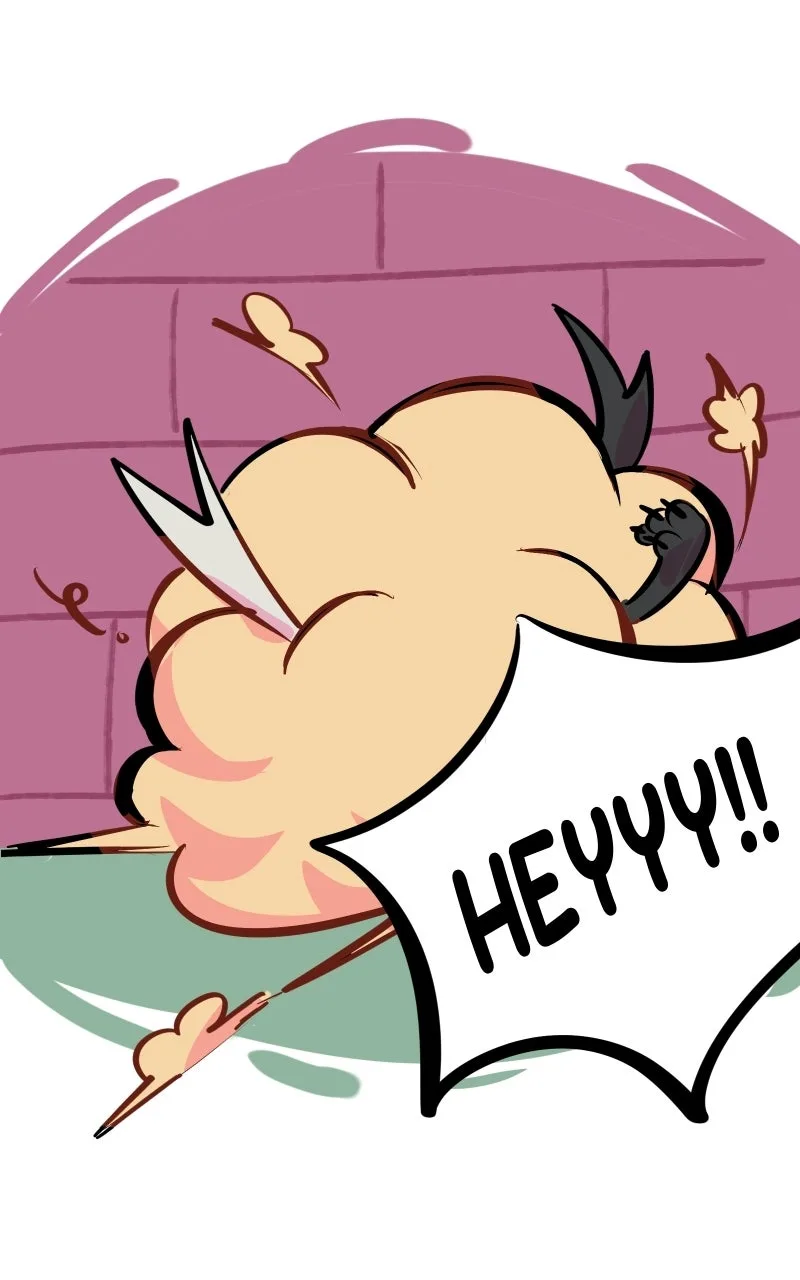 Literary Link Chapter 1 page 29