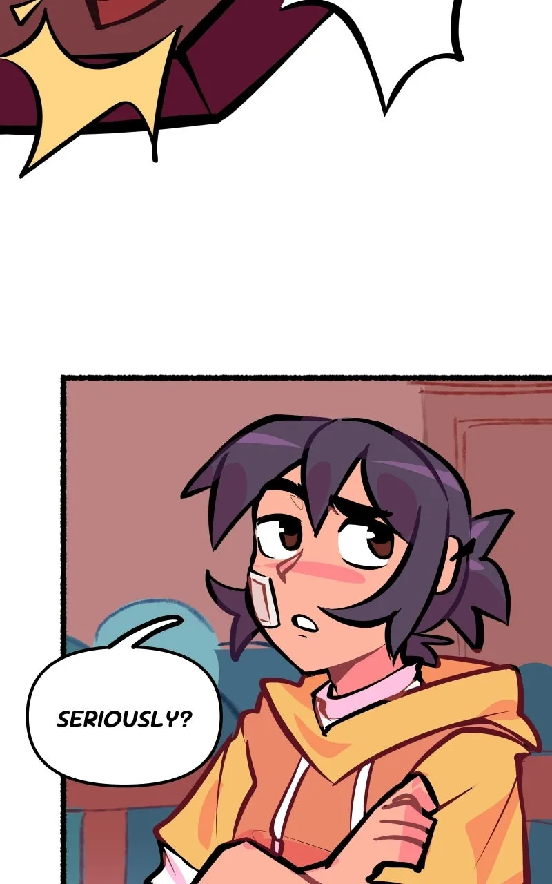 Literary Link Chapter 1 page 17