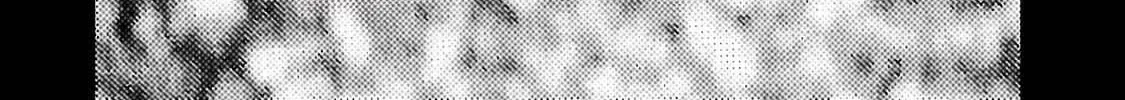Little Lord of the Great Plains: A Reincarnated Gamer Girl’s Frontier Adventure Chapter 3 page 16