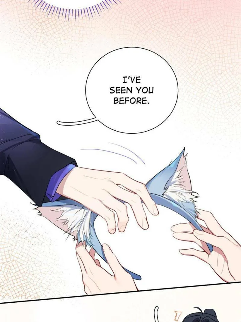 Love's Out, Boy Band Fandom's In Chapter 11 page 17