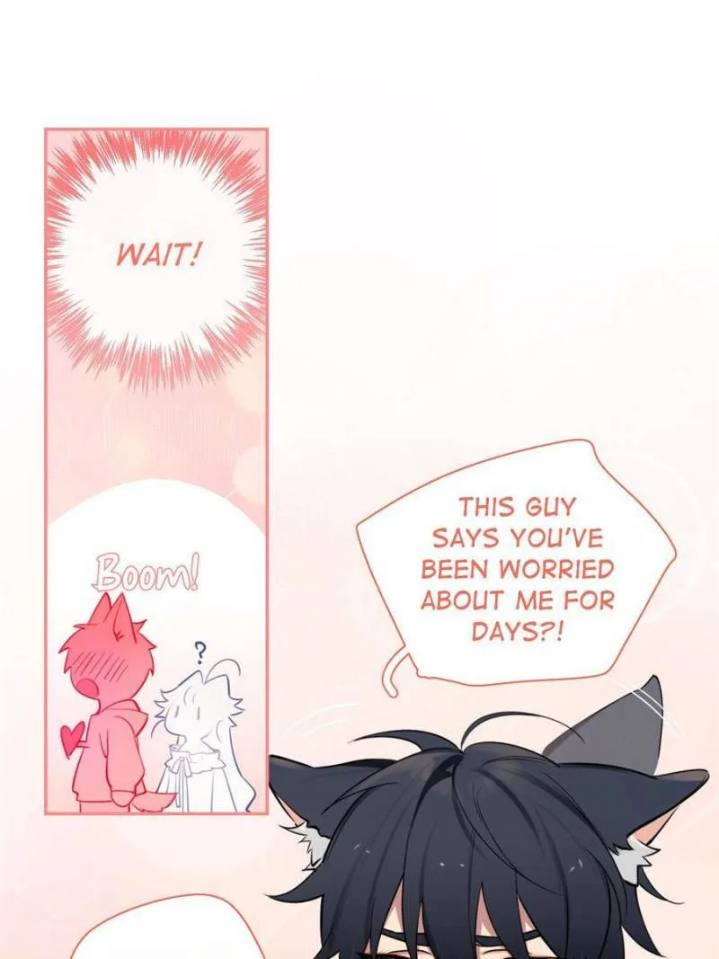 Love's Out, Boy Band Fandom's In Chapter 11 page 50