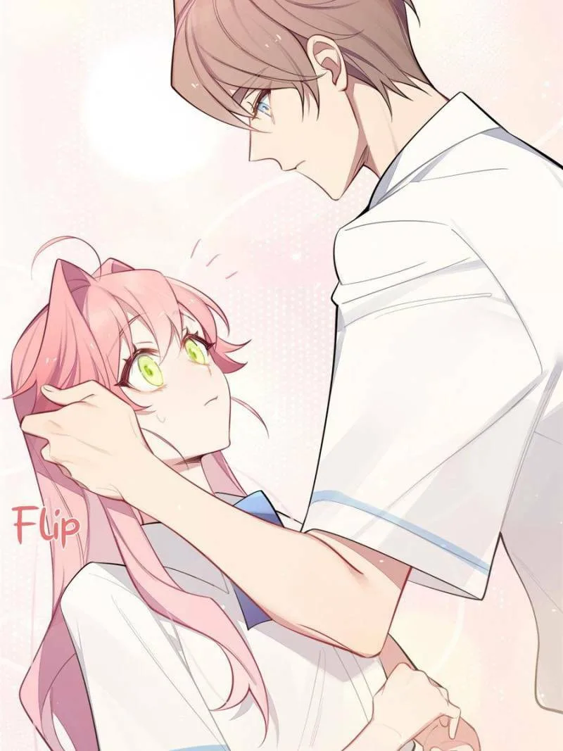 Love's Out, Boy Band Fandom's In Chapter 16 page 27