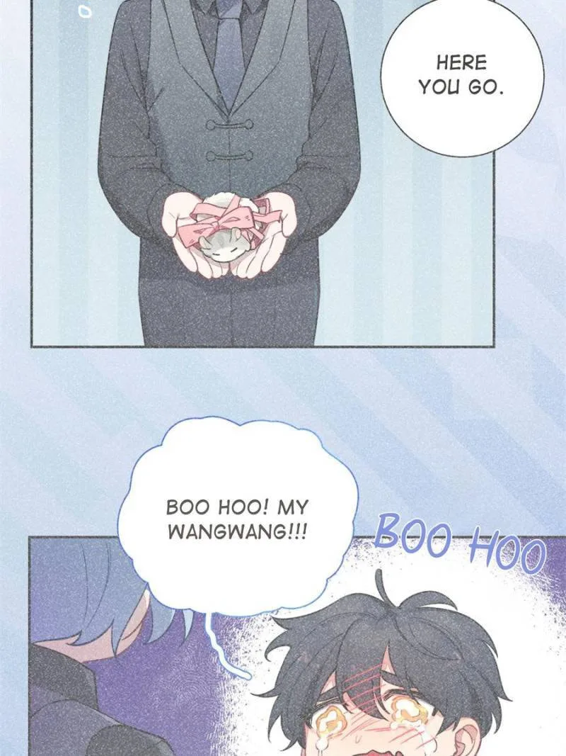 Love's Out, Boy Band Fandom's In Chapter 19 page 79