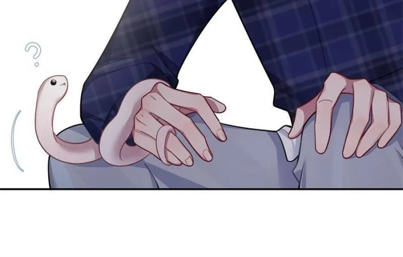 Love's Out, Boy Band Fandom's In Chapter 26 page 74