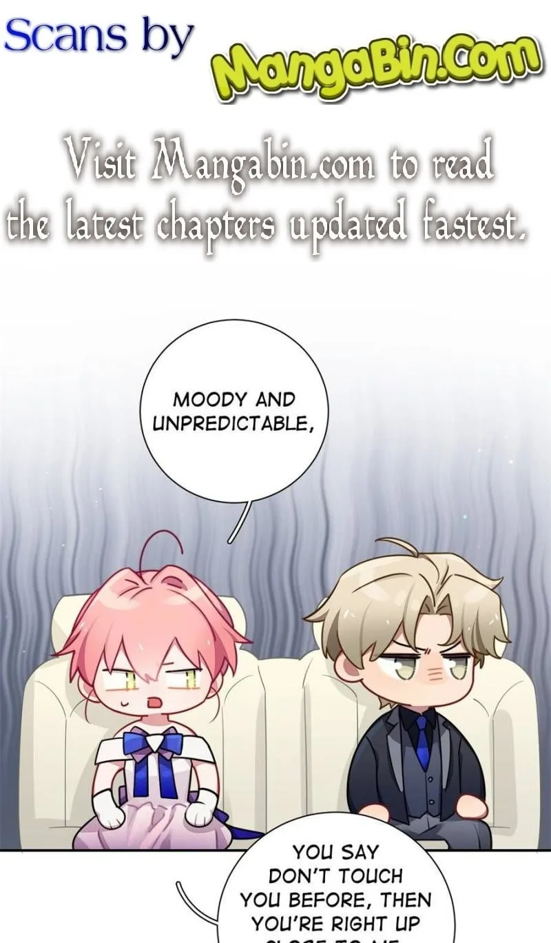 Love's Out, Boy Band Fandom's In Chapter 36 page 1