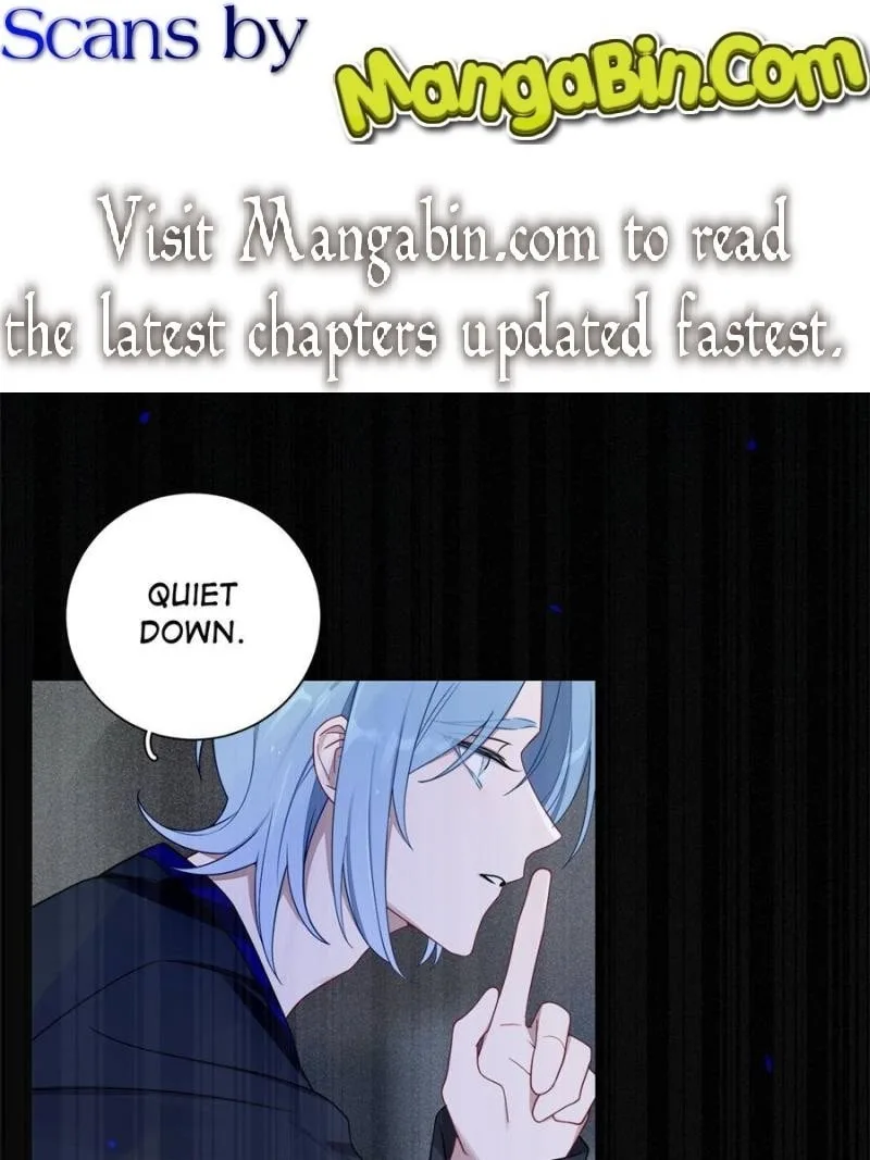 Love's Out, Boy Band Fandom's In Chapter 37 page 1