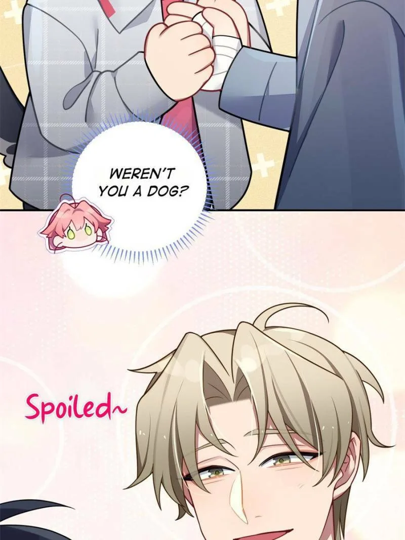 Love's Out, Boy Band Fandom's In Chapter 38 page 34