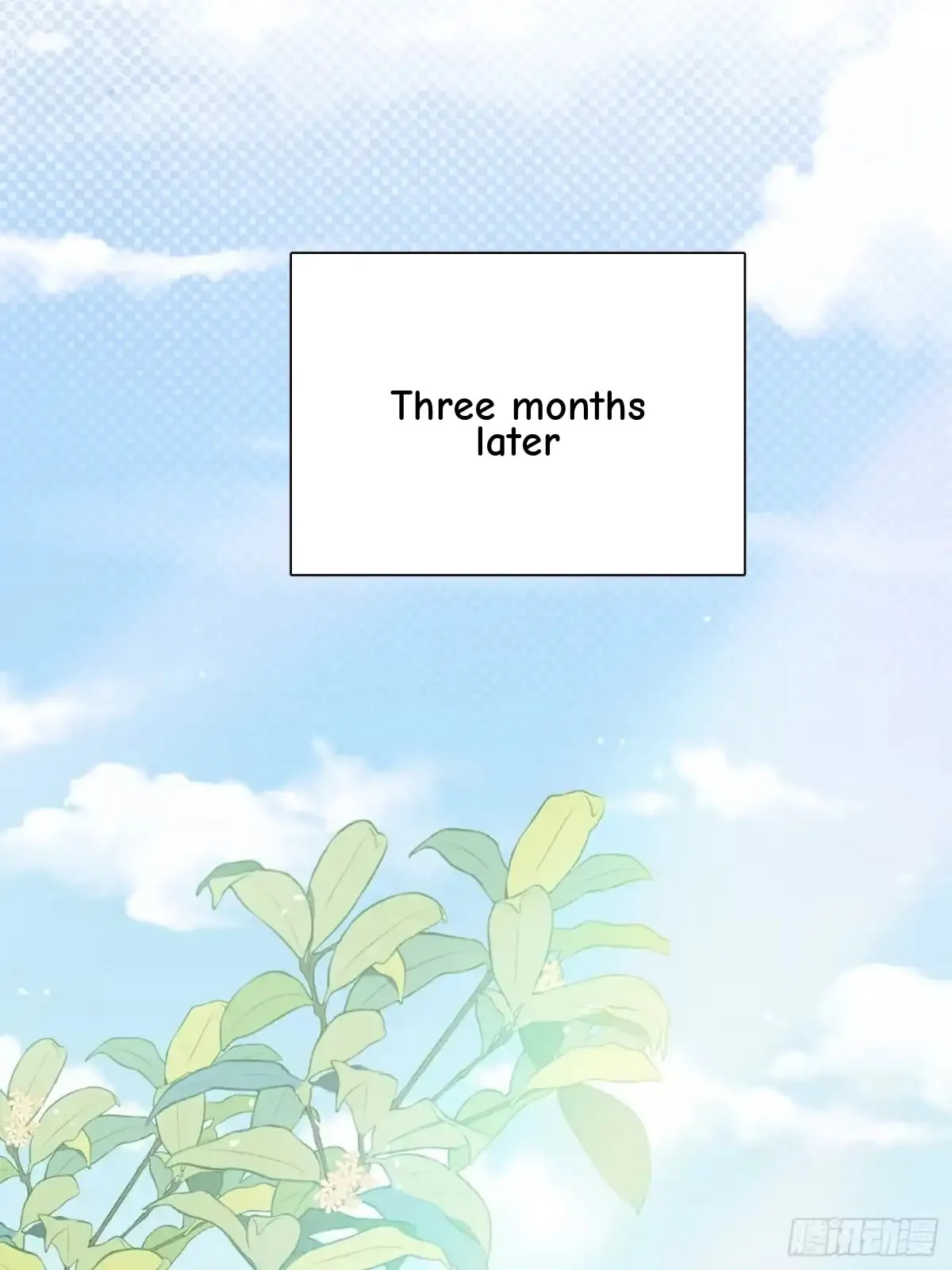 Love's Out, Boy Band Fandom's In Chapter 71 page 27