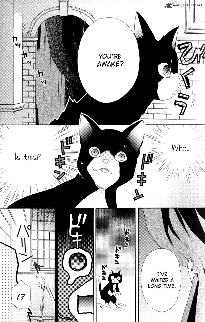 Mahoutsukai no Neko Chapter 1 page 22