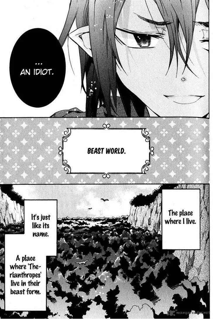 Mahoutsukai no Neko Chapter 23 page 8