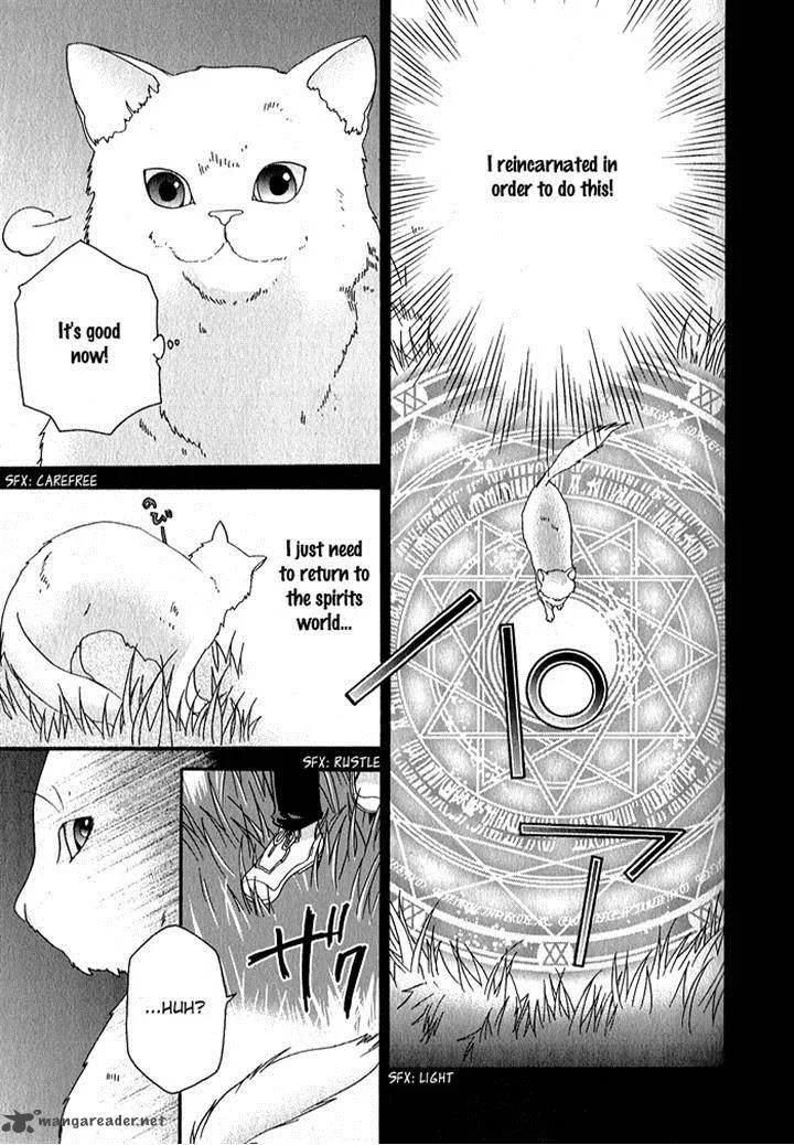 Mahoutsukai no Neko Chapter 32 page 11