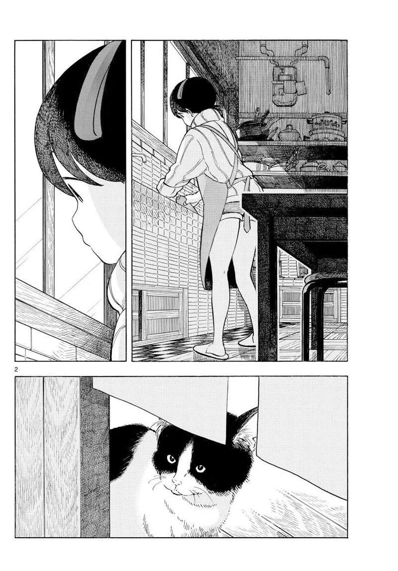 Maiko-san Chi no Makanai-san Chapter 162 page 13