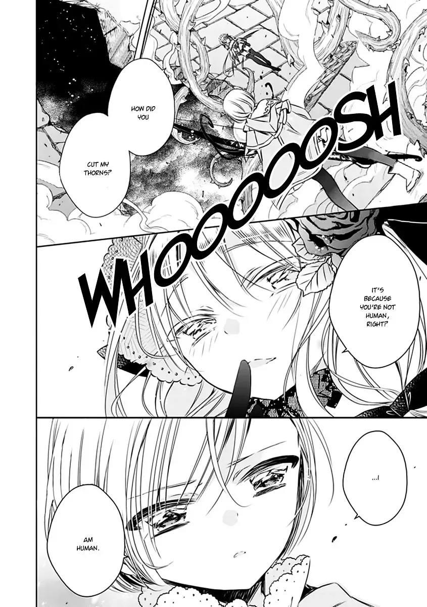 Majo no Shinzou Chapter 20 page 23