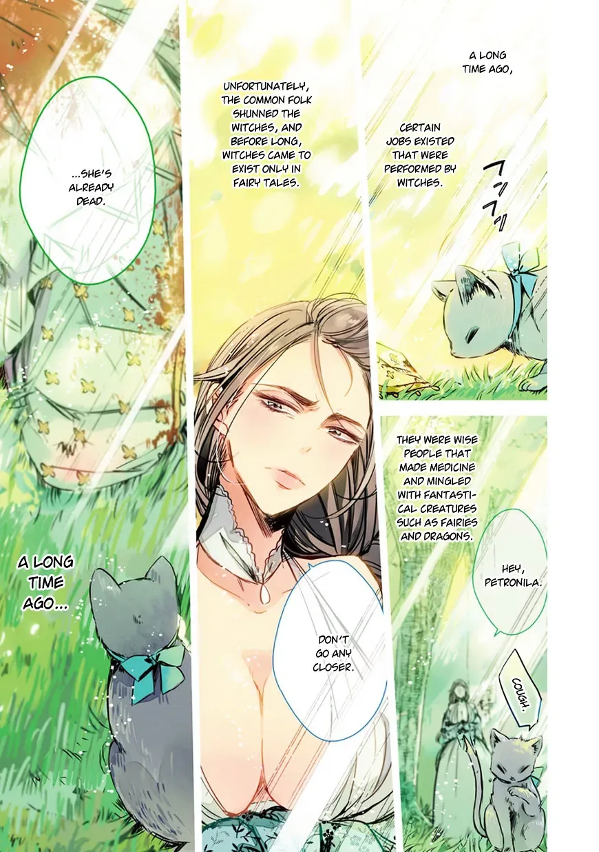 Majo no Shinzou Chapter 28 page 3