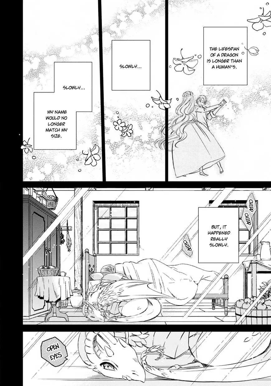 Majo no Shinzou Chapter 38 page 12
