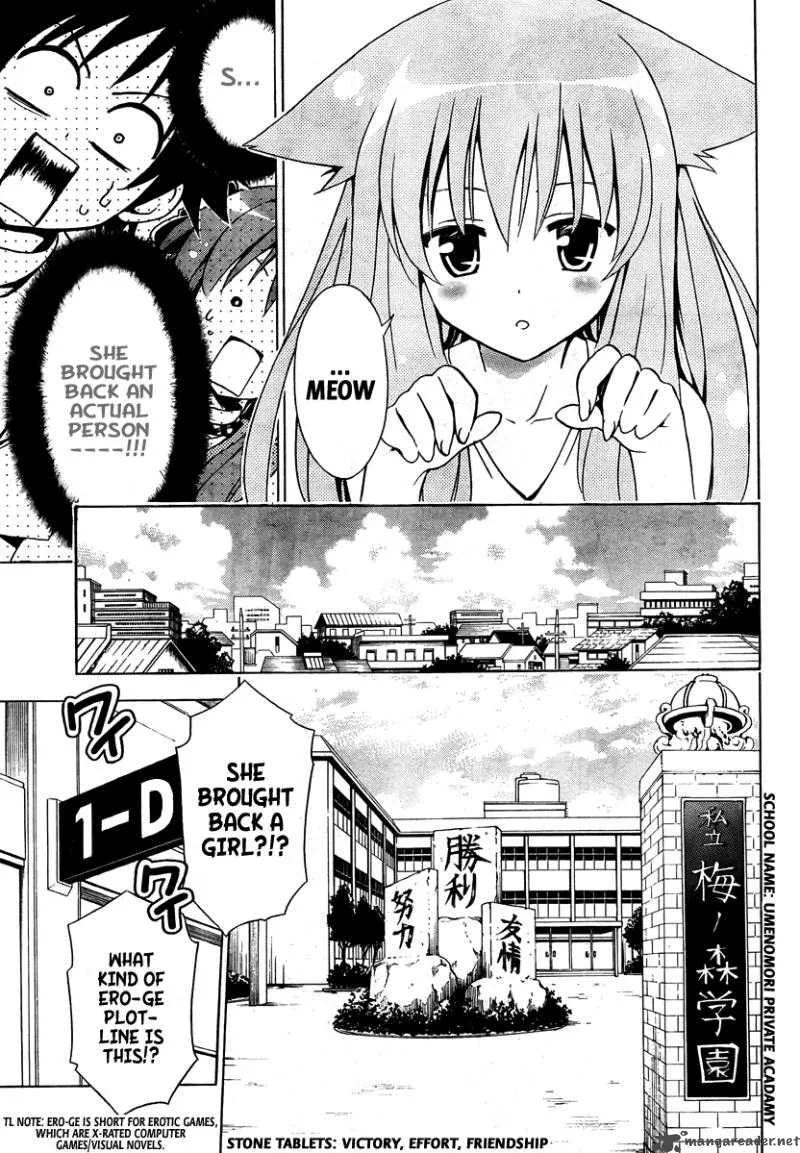 Mayoi Neko Overrun Chapter 1 page 16