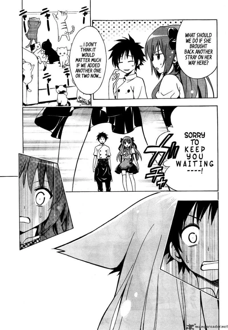 Mayoi Neko Overrun Chapter 1 page 14