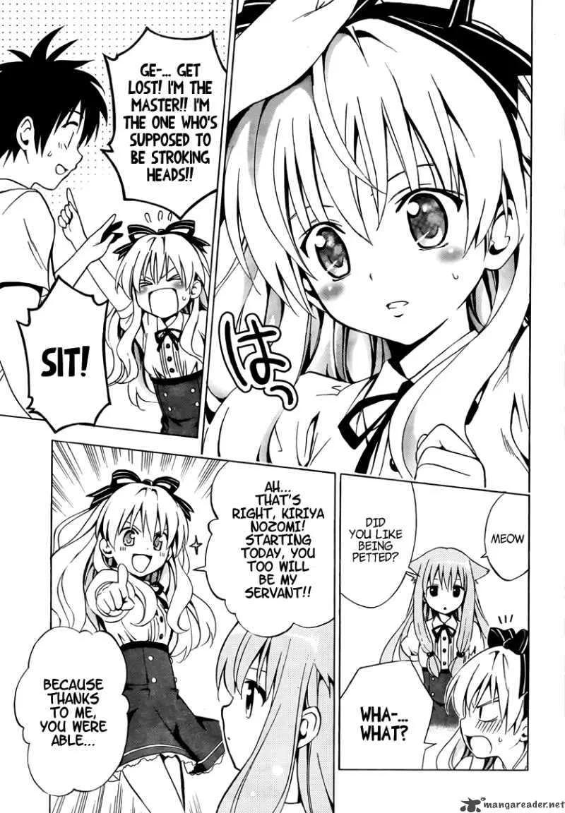 Mayoi Neko Overrun Chapter 2 page 16