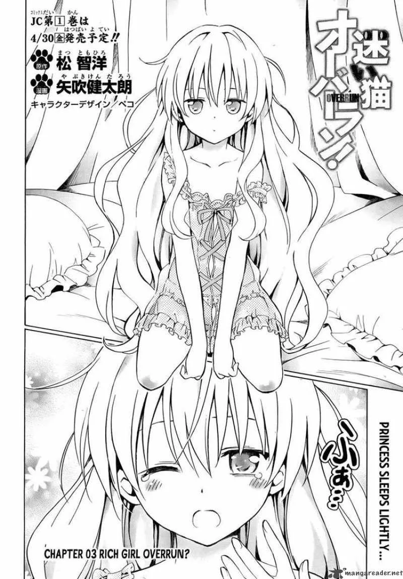 Mayoi Neko Overrun Chapter 3 page 2