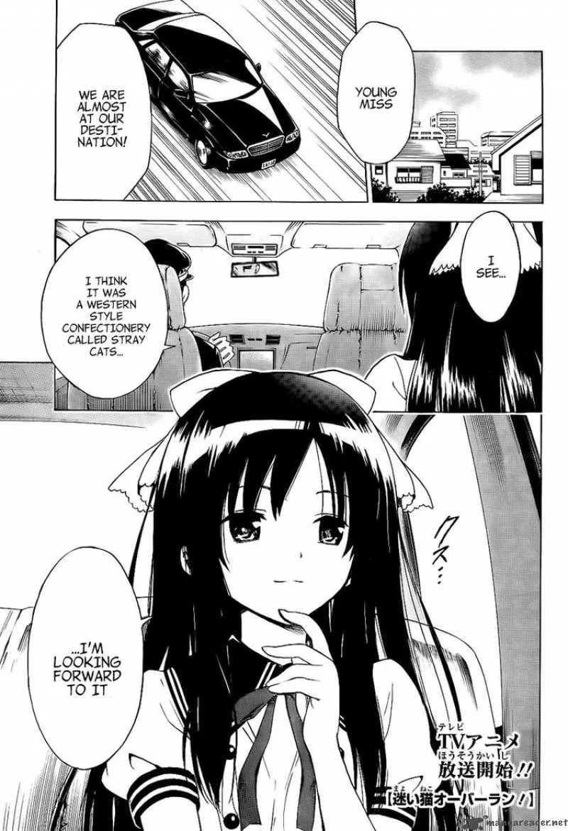 Mayoi Neko Overrun Chapter 4 page 2