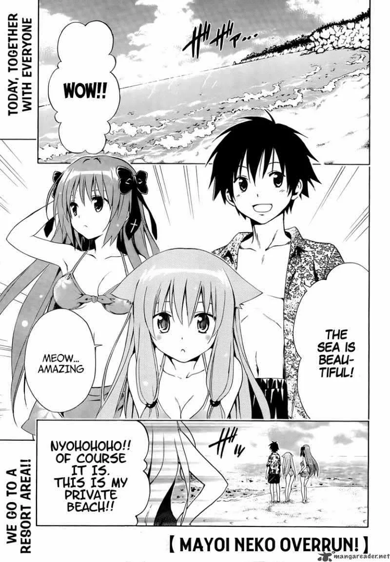 Mayoi Neko Overrun Chapter 5 page 2