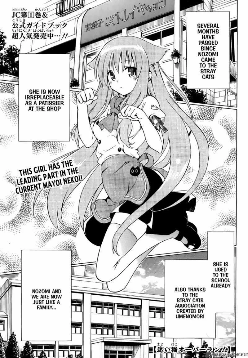 Mayoi Neko Overrun Chapter 6 page 2
