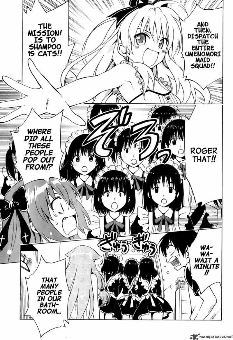 Mayoi Neko Overrun Chapter 7 page 12