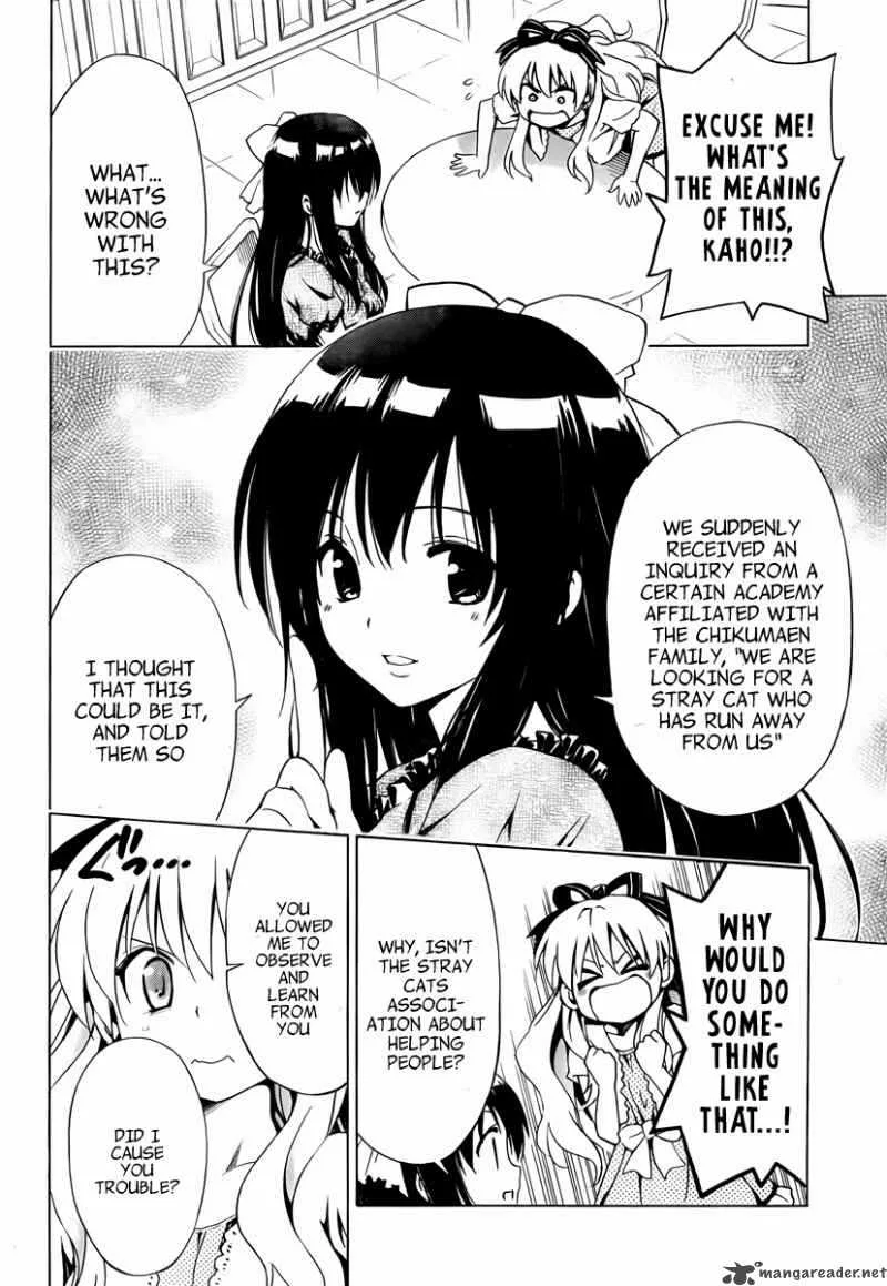Mayoi Neko Overrun Chapter 8 page 5