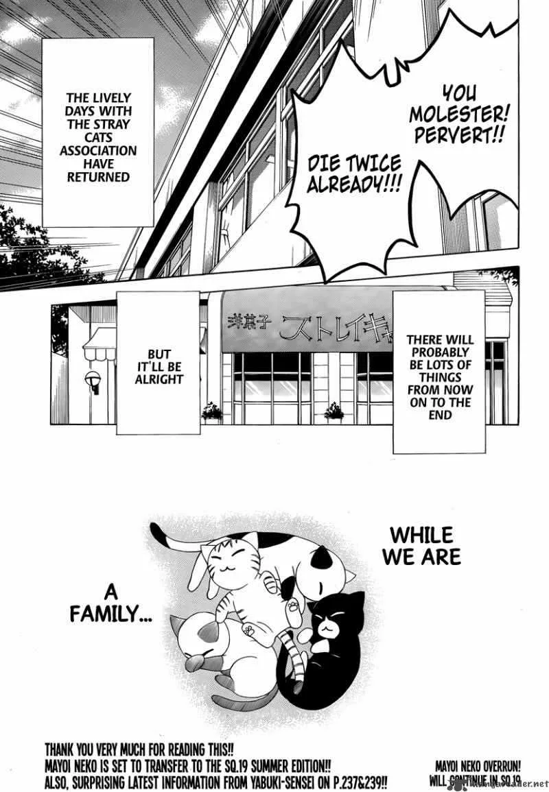 Mayoi Neko Overrun Chapter 8 page 46